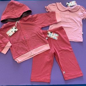 Babysoy Newborn Girl Gift Set Reversible Hoodie/Puff Sleeve Tee/Pants 3-6 months